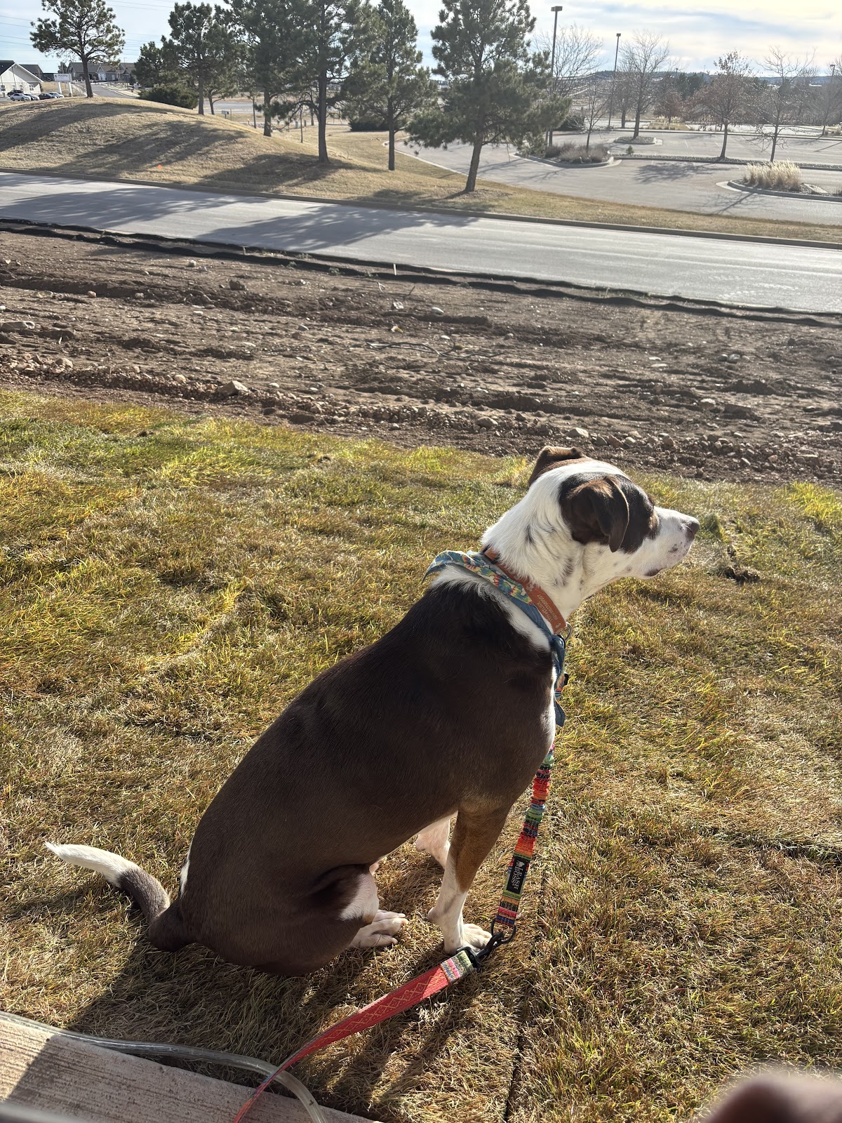 The Crest on Phillips